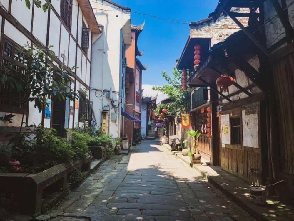我真的学什么都不会怎么办啊在学校学习跟不上学习?知识星球平台,汲取知识的瑰宝